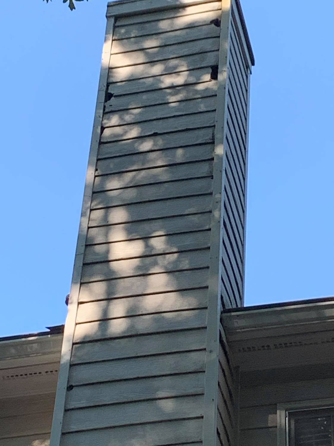 Woodpecker Control & Hazing Services Southern Wildlife Management