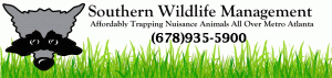 wildlife trapping - Wildlife removal header